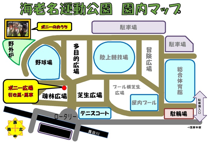 ポニー引き馬、馬車運行場所