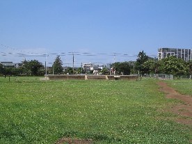 写真：史跡相模国分寺跡