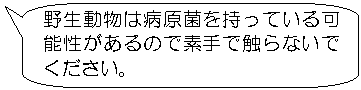 野生動物は病原菌を持っている可能性があるので素手で触らないでください。