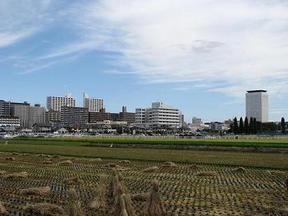 写真：海老名の秋の風景