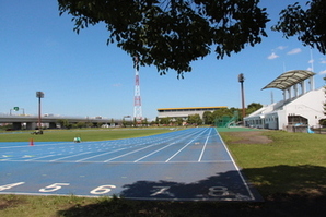 写真:海老名運動公園