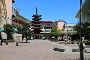 写真：海老名中央公園