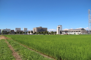 写真:田園風景