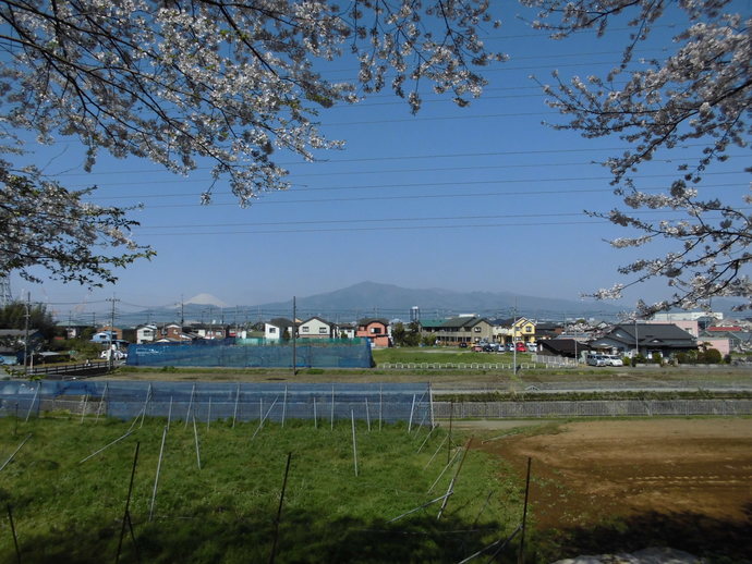 写真：平成29年4月14日　貴日土神社眺望点