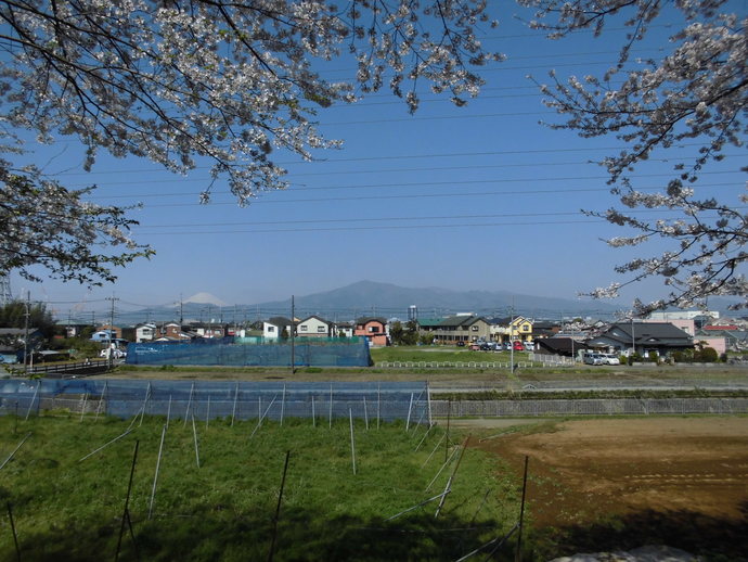写真:平成29年4月14日 貴日土神社眺望点
