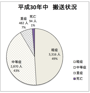 平成30年中の搬送状況のグラフ画像