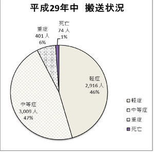 平成29年中の搬送状況のグラフ画像