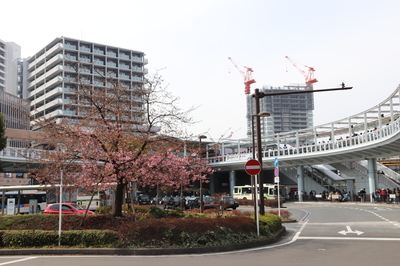 海老名駅東口駅前広場の画像