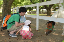 ポニーと触れ合う親子