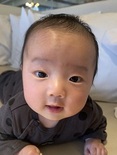 椿季