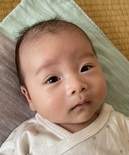 よし