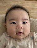 ほた