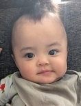 颯