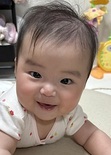 つばき