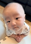 雪杜