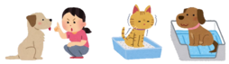イメージ画像