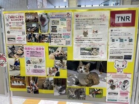 展示会の様子