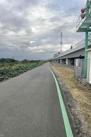 グリーンライン