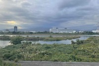 グリーンライン