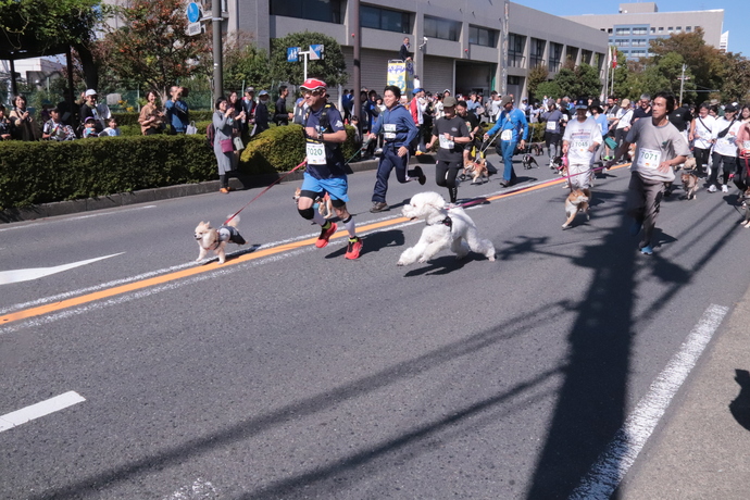 愛犬部門