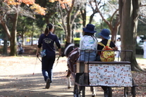 ポニーふれあいランド2