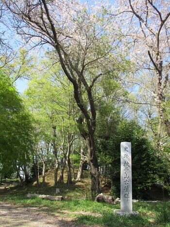 春の秋葉山古墳群