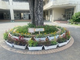 花の写真（1）