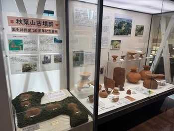 秋葉山古墳群の模型と出土土器