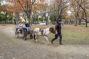 ポニーふれあいランド2
