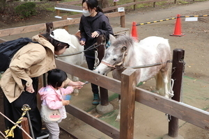 ポニー触れ合い広場