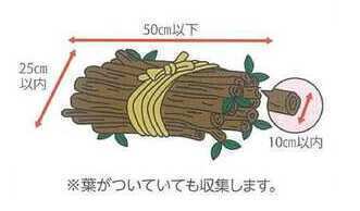 剪定枝のイラスト